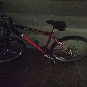 2008 Schwinn Red