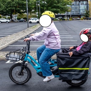 Tern GSD S10 cargo bike rear Blue