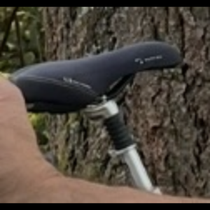 2006 Giant Cypress Black