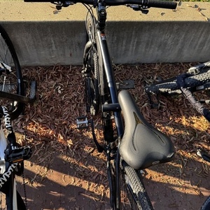 Raleigh Cadent Black
