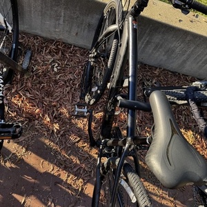 Raleigh Cadent Black