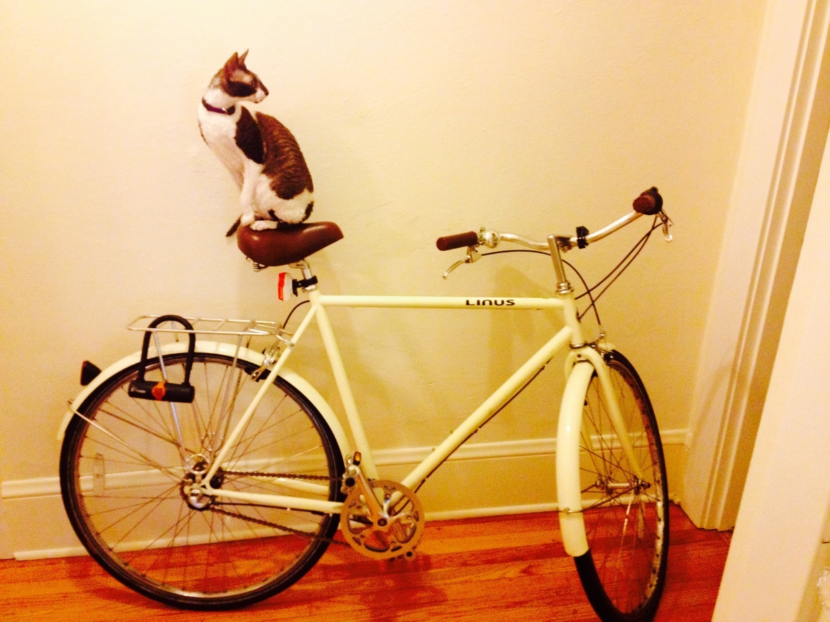Bike photo
