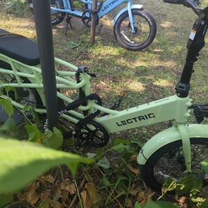 2024 Lectric eBikes Xpedition Green