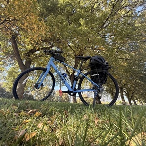 2026 Trek FX 2 Blue