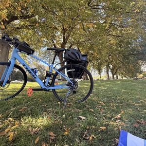 2026 Trek FX 2 Blue