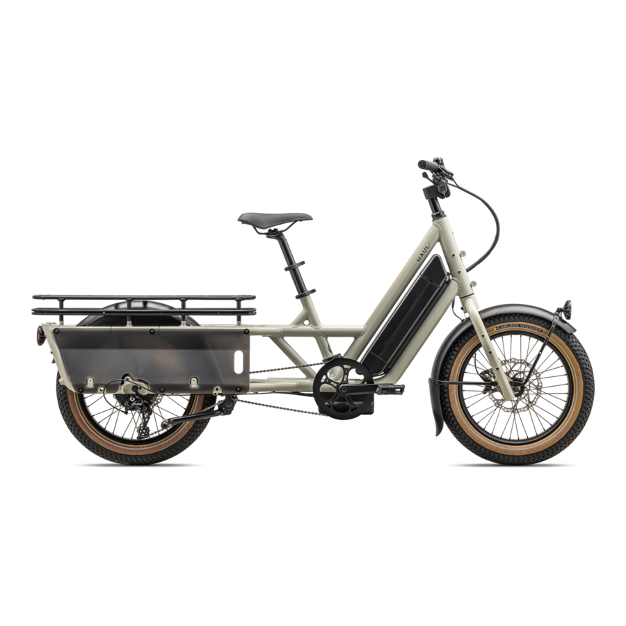 Cargo Bike Rear photo