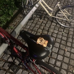 Trek Red