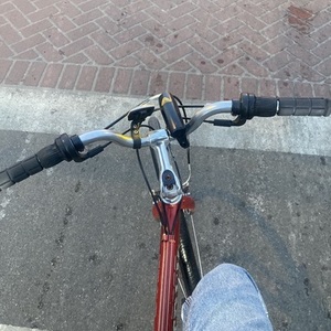 Trek Red