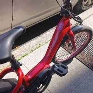 2023 Bosch Tern Red