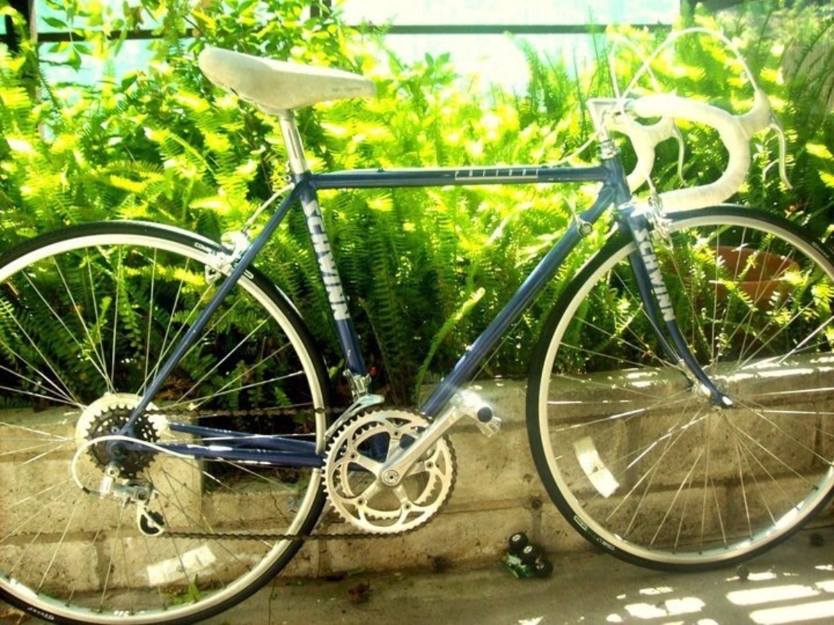 schwinn prelude blue