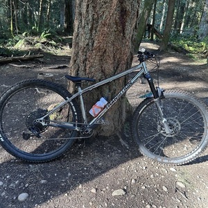 2023 Transition Bikes Trans Am Silver, gray or bare metal