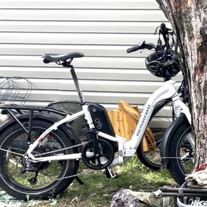 Rad Power Bikes RadExpand 5 White