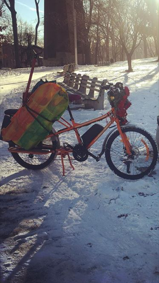 Cargo Tricycle photo