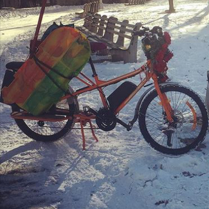 2016 rad power bikes rad wagon cargo tricycle (rear storage) Orange