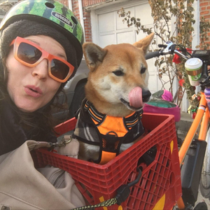 2016 rad power bikes rad wagon cargo tricycle (rear storage) Orange