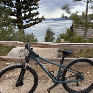Specialized Rockhopper Blue