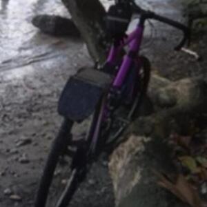 2022 Canyon bicycles Grizl 7 Purple, Pink, and Black