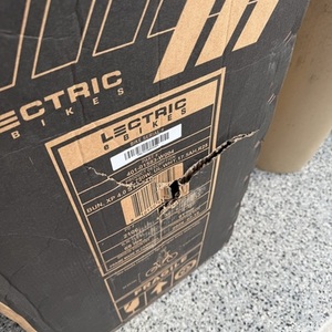2025 Lectric eBikes XP4 Silver, gray or bare metal