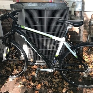 2011 Trek White