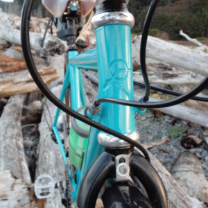 2016 Custom, made by brother Custom, has 03 head badge Teal
