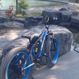 2017 LANKEleisi Fat tire Black and Blue