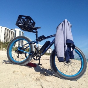 2017 LANKEleisi Fat tire Black and Blue