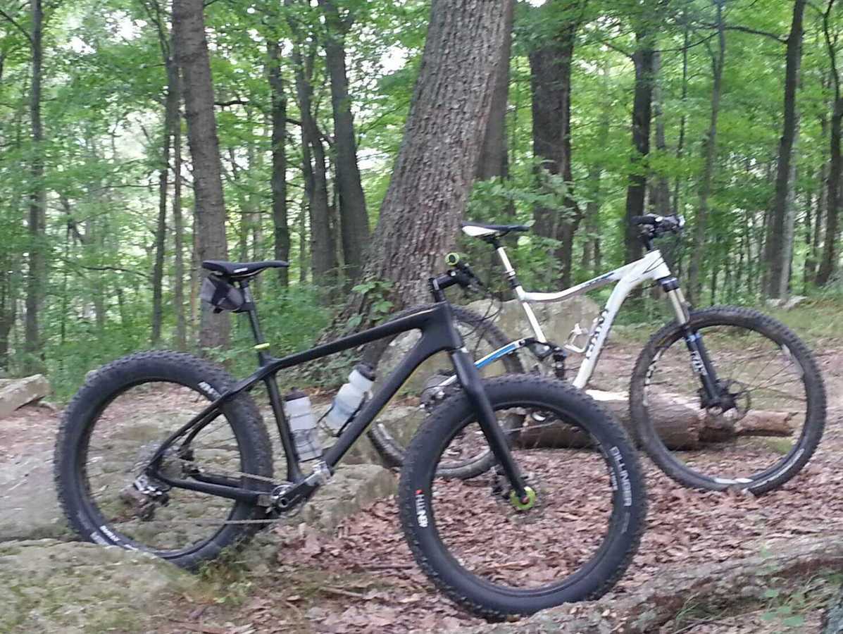 salsa beargrease carbon