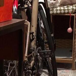 2020 Raleigh Route 2 Brown