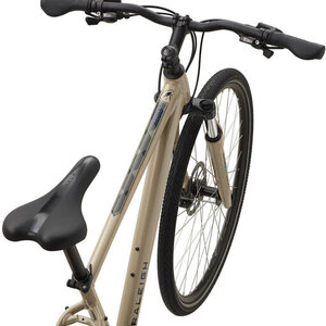 2020 Raleigh Route 2 Brown