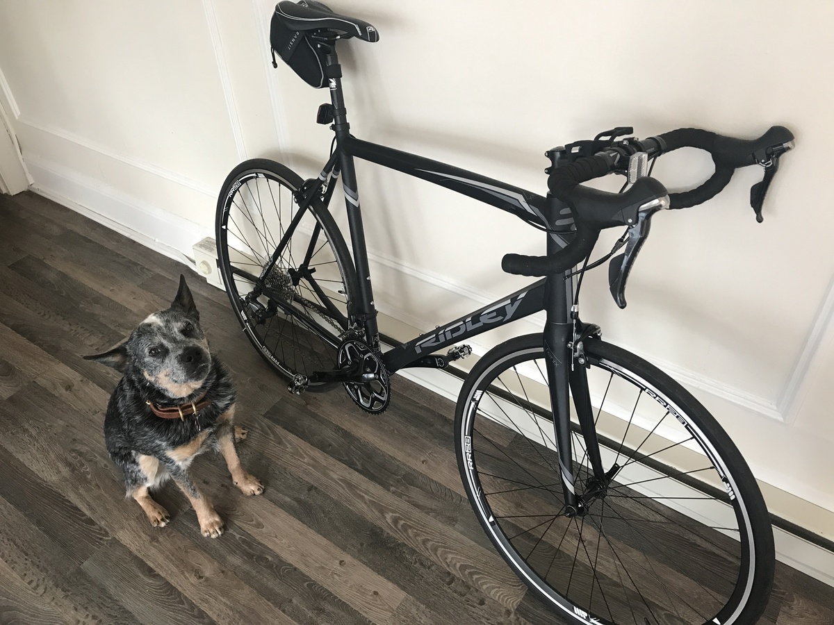 Bike photo