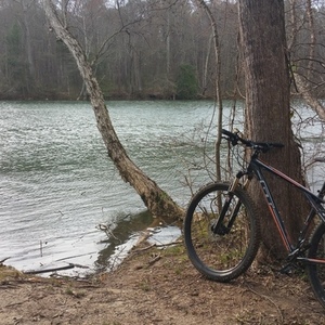2015 GT Bicycles Backwoods Black and Orange