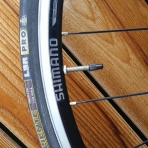 2008 Motobecane Immortal Pro Yellow or Gold