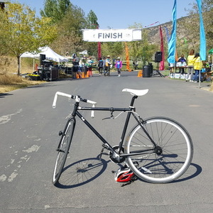 2010 Fuji declaration Black and White