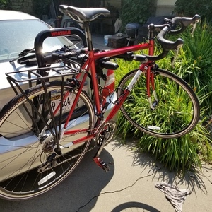 2015 All City Mr Pink / 55cm Red
