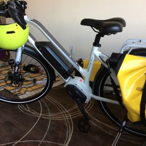 2016 Wallerang M02 White, Silver or Gray, and Stickers tape or other cover-up