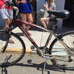 2003 Trek 7100 Silver or Gray and Red