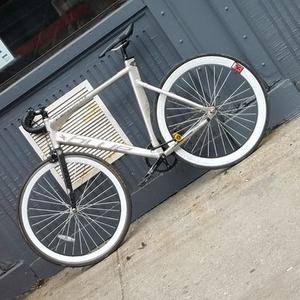 Blue Lehigh Silver or Gray