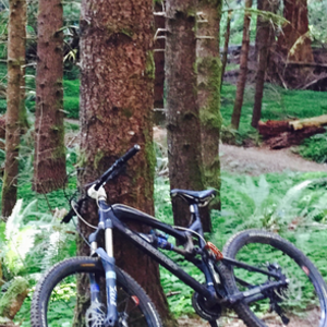 2009 Santa Cruz Nomad Black