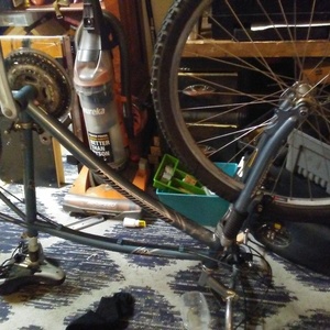 2005 Diamondback Wildwood citi