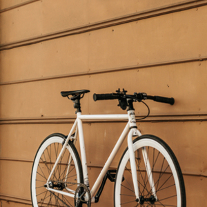 2018 Golden Cycles Shocker White and White