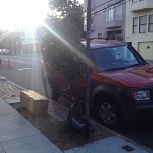 Bridgestone Men's Road Bike  Red