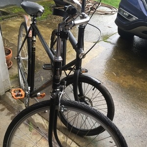 1954 Raleigh Sports Black