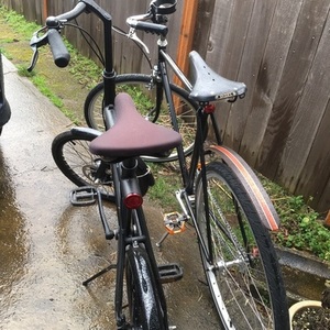 1954 Raleigh Sports Black