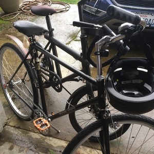 1954 Raleigh Sports Black