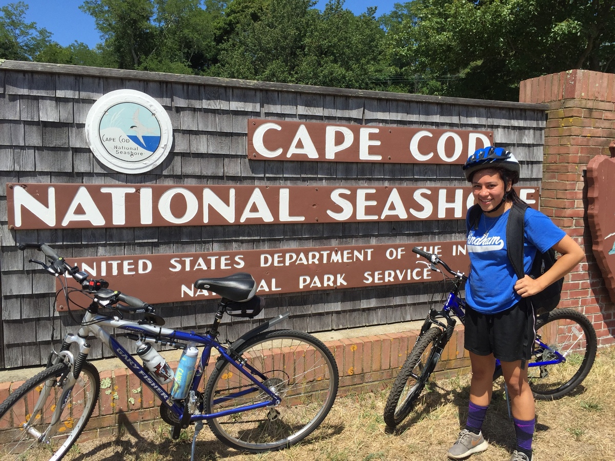 stationary bike with arm exerciser