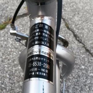 Topone 6-speed folding bike  Silver or Gray