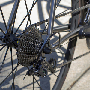 2004 Litespeed Classic (Resto-Mod) Silver or Gray