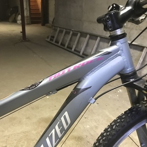 Specialized Hotrock 24 Boys Silver or Gray