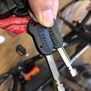 2018 Trek FX 20 Silver or Gray