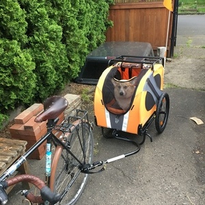 Surly Cross-Check